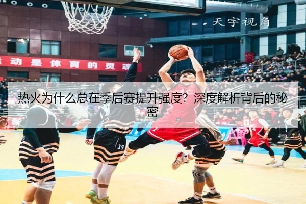 热火为什么总在季后赛提升强度？深度解析背后的秘密